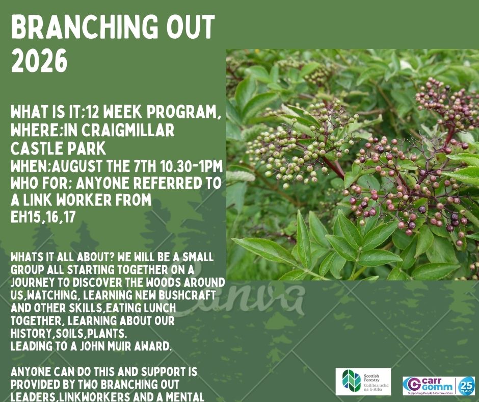 Branching Out